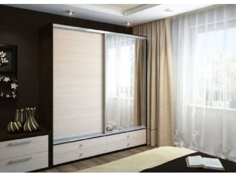 Шкаф-купе Ольга 1900