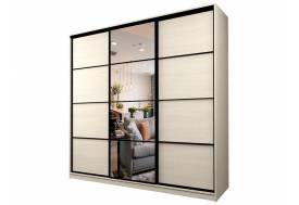 Шкаф-купе Max МШ-25-6-24-151