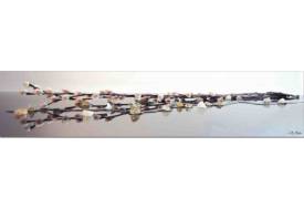 Фартук с фотопечатью Верба SP038